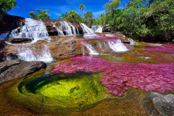 Caño Cristales Promoción